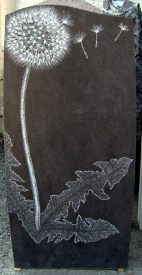 pusteblume loewenzahn